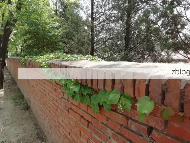 盘山疫情：低海拔丘陵地带的防控压力与应对