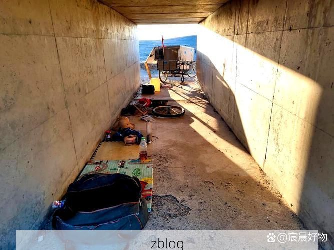 万柏林区：工业走廊与城中村结构下的疫情压力测试