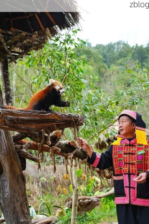 普洱边境线上的防疫博弈：热带雨林气候下的防控挑战