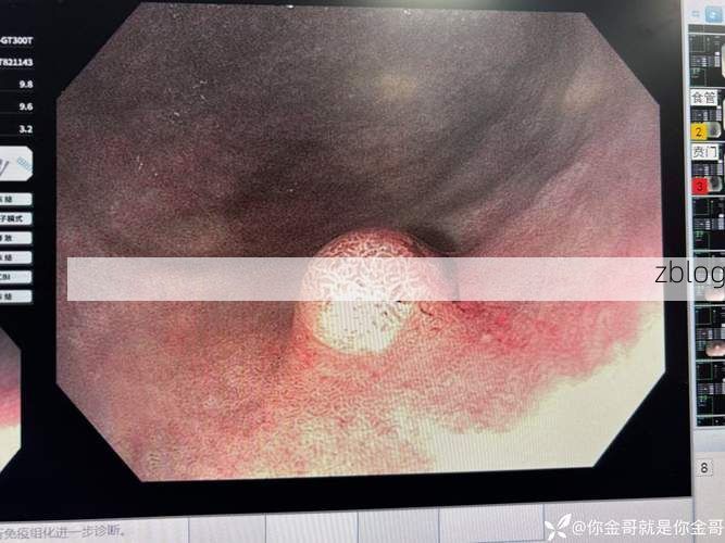 寿光蔬菜动脉下的疫情压力测试