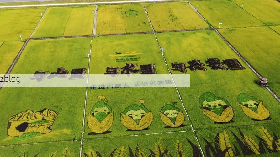 五常市稻香与寒潮：黑土地上的防疫围城