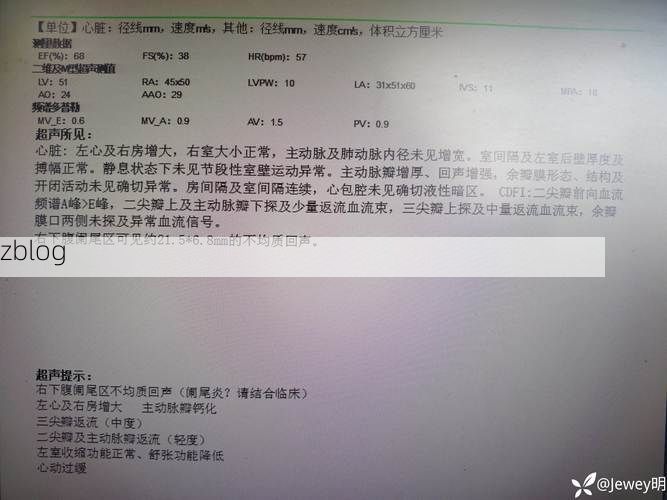 2022年3月31日繁昌新增确诊病例情况_25374