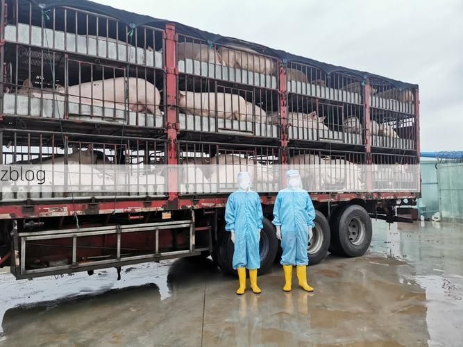 河南疫情：中原交通枢纽下的防控持久战_61255