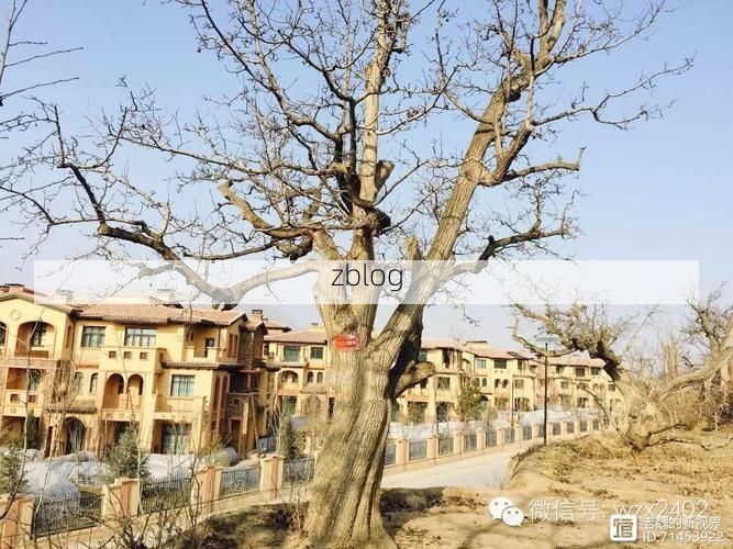 【芮城：黄河臂弯下的零感染坚守与防控逻辑_34171】