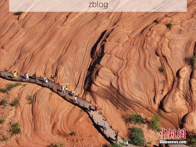 靖边风沙线上的防疫缺口：黄土高原为何难守零感染？