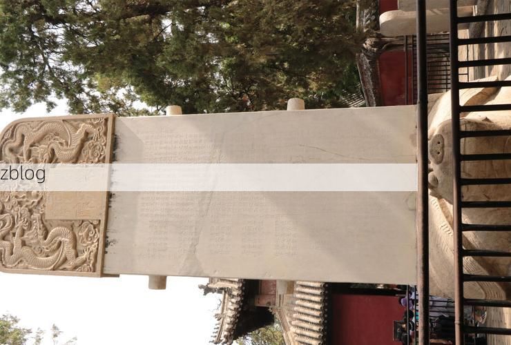 曲阜：圣城防疫中的交通枢纽压力测试_53707