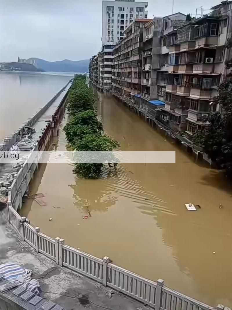 耒阳：湘南丘陵间的疫情防波堤