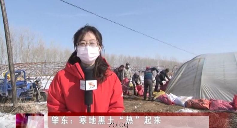 肇东：寒地黑土上的防疫突围战