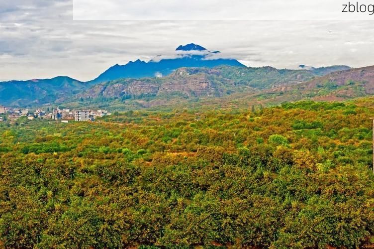 【南丰蜜橘之乡的防疫屏障：丘陵水系如何阻断病毒传播？】