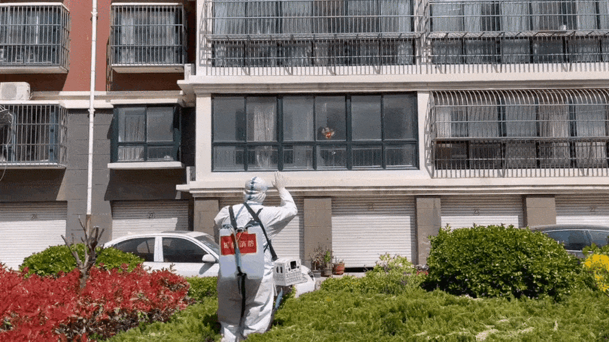 东方市：热带滨海小城的疫情防线与破防时刻