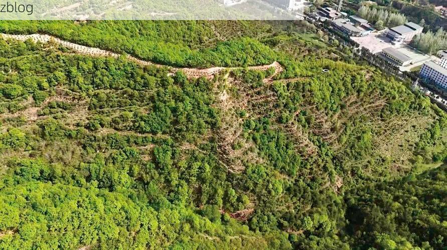 平凉市辖区：陇东旱塬屏障下的零感染坚守