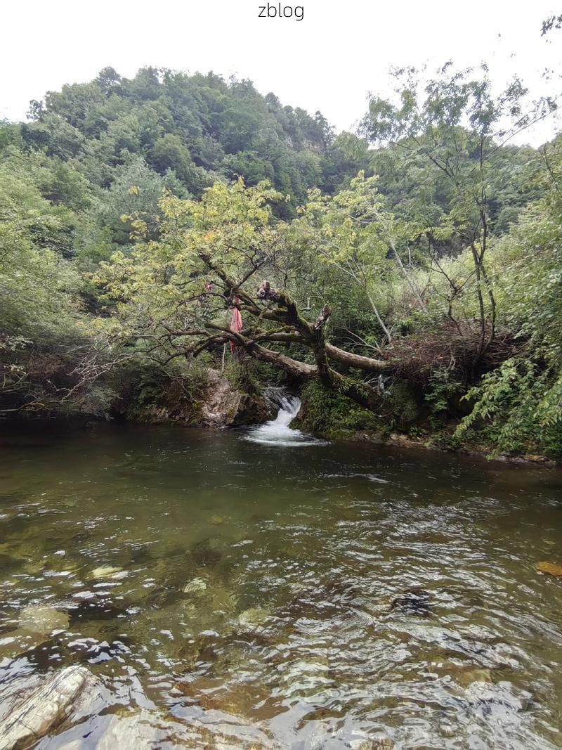 陵川屏障：太行山脊上的零感染坚守