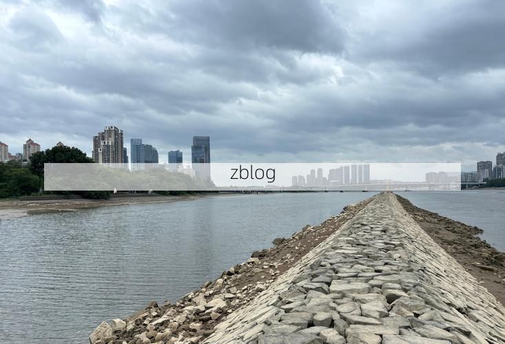 【武义：温泉小城的疫情防波堤】