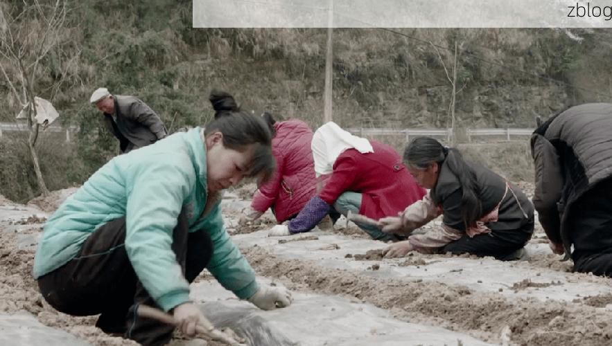 巫溪县：大巴山屏障下的零感染坚守与防控逻辑