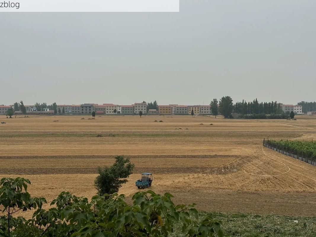 民权县：豫东平原交通枢纽的疫情防线与破防时刻