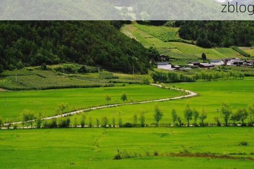 会东县：横断山脉腹地的零感染记录如何铸就？