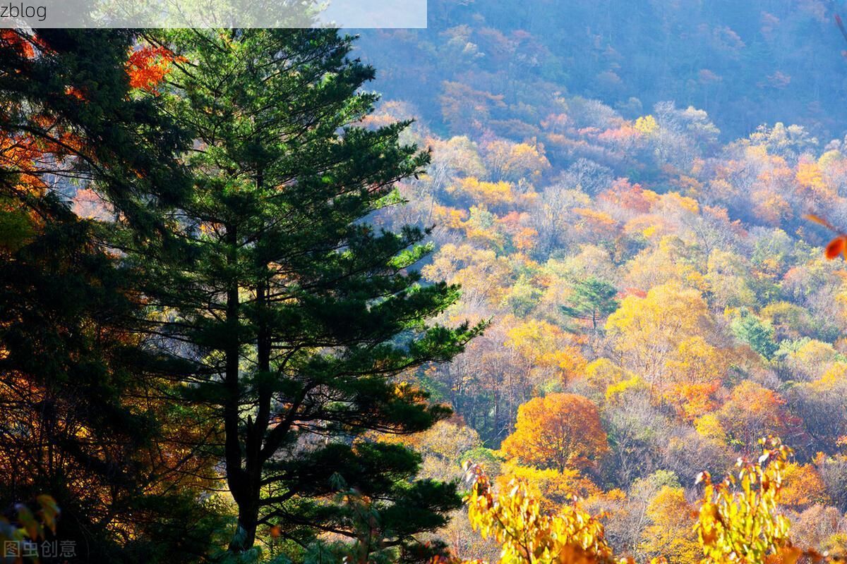 青川：川北山地的零感染样本与潜在风险解析