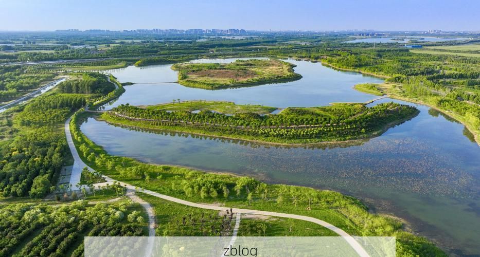 齐河：黄河水畔的防疫坚守与零感染破防时刻