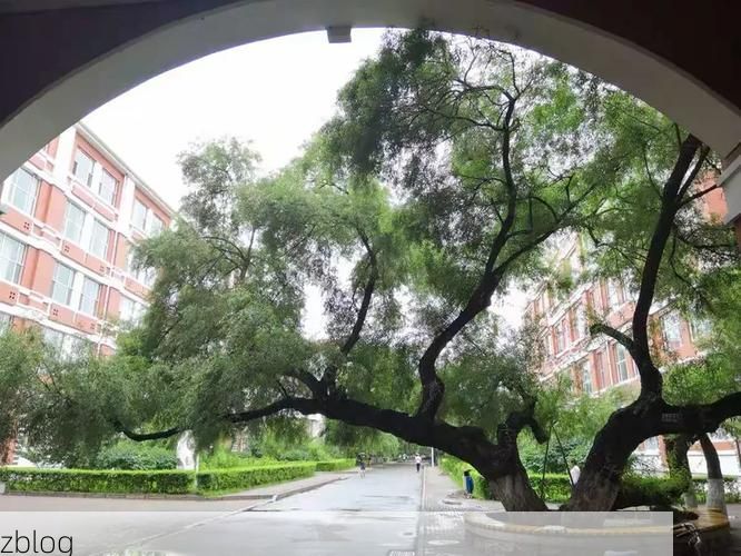 齐齐哈尔：高寒工业重镇的防疫地理学