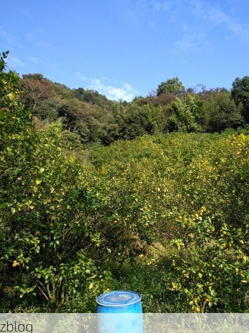 【杨凌农科城：关中平原腹地的零感染坚守】