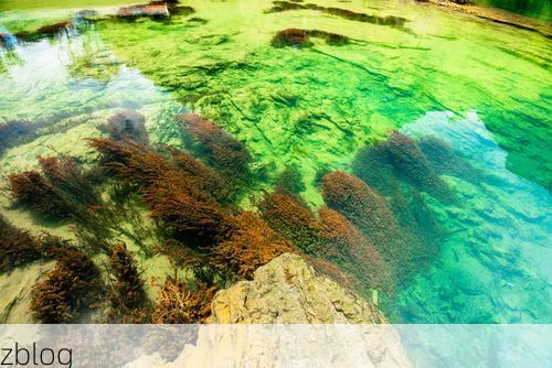 西林：桂西边陲的零感染坚守与地理屏障下的防疫逻辑_34579