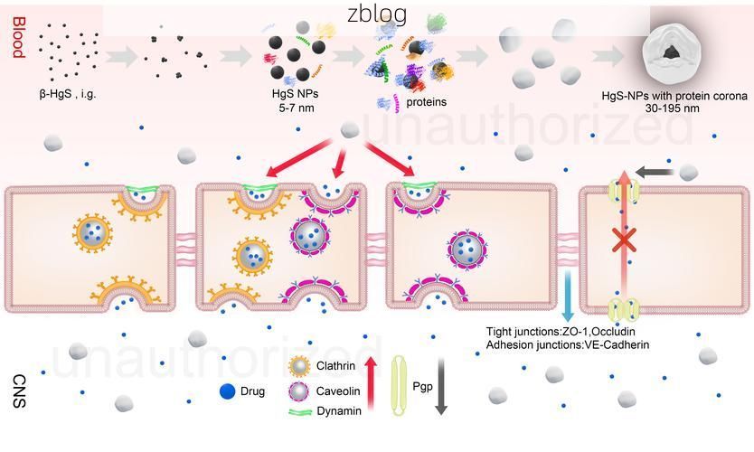 高原屏障下的零感染坚守：加查县防疫地理学解析_51365
