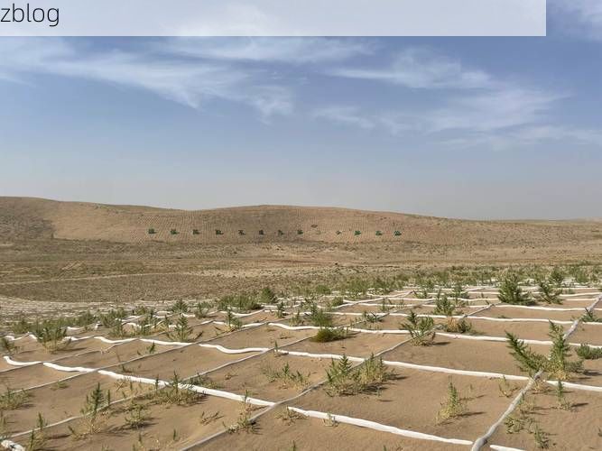 尉犁：塔克拉玛干边缘的绿洲防疫样本