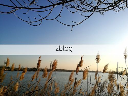 衡水湖屏障下的防疫破防：一例阳性如何扰动冀中平原