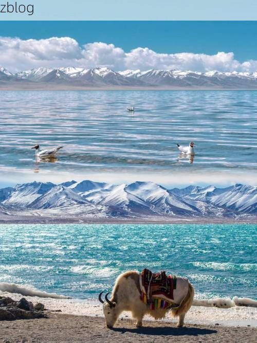 香格里拉：高原屏障下的零感染坚守_12150