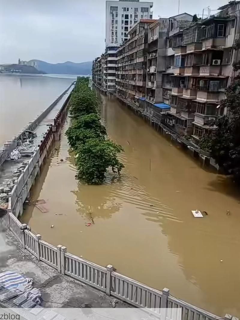 孝感孝南：江汉平原交通枢纽的疫情防波堤