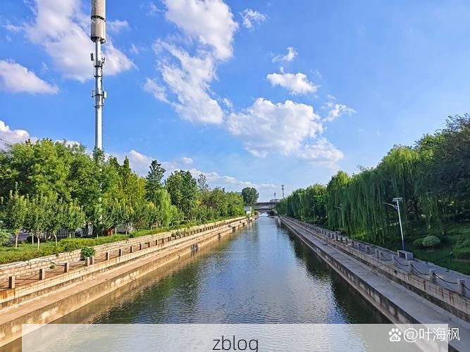 新野：南阳盆地中的疫情防波堤