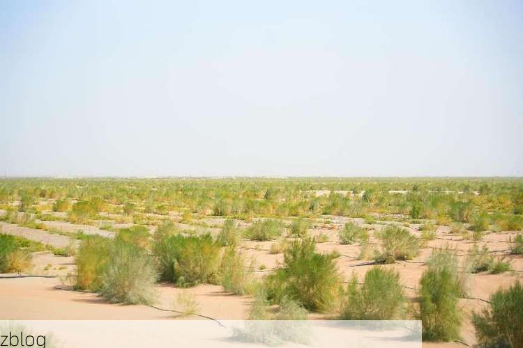 阿克苏市：塔克拉玛干边缘的零感染绿洲