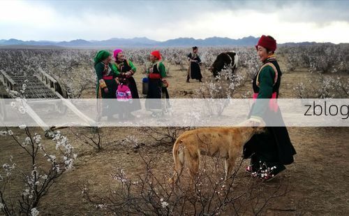 阿鲁科尔沁旗：草原屏障下的低感染样本解析