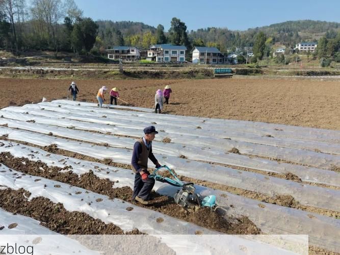 余庆新增1例无症状感染者  余庆疫情防控最新通报_57013