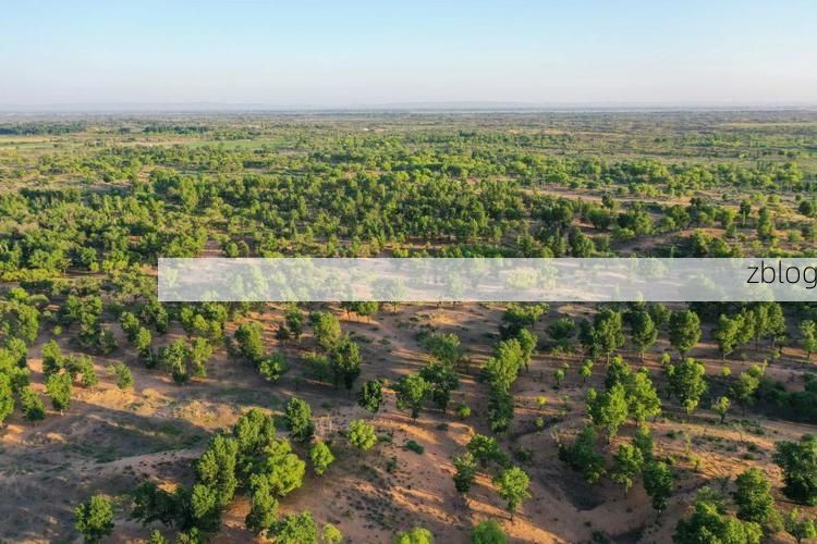 库伦旗：沙地绿洲的静默防线与零感染坚守