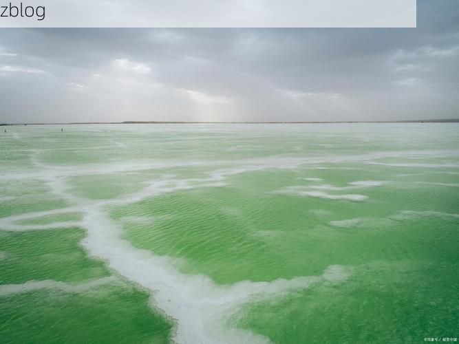 沾化冬枣之乡的疫情防线：盐碱滩涂上的静默坚守