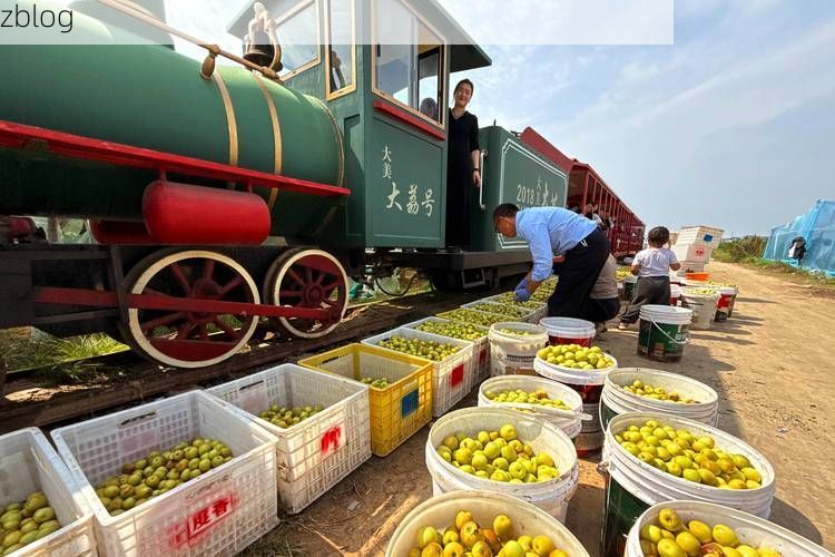 大荔：关中平原粮仓的疫情防线与破防时刻