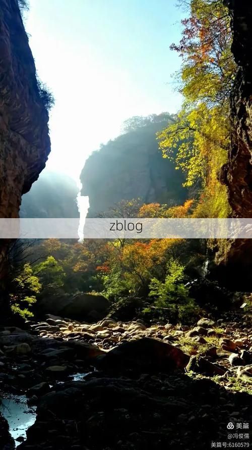 沁水：太行屏障下的低感染样本与防控逻辑_52940