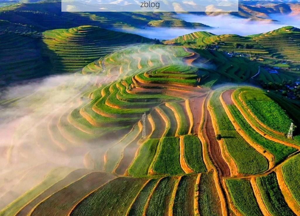 旬邑：黄土高原沟壑间的零感染坚守与物理防线