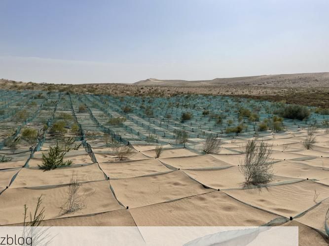 白沙黎族自治县：热带雨林屏障下的零感染坚守