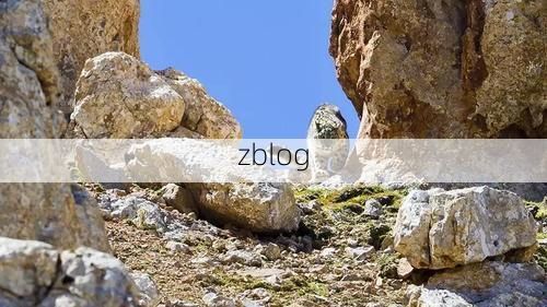 高原门户的防疫压力测试：西宁城区疫情波动的地理溯源