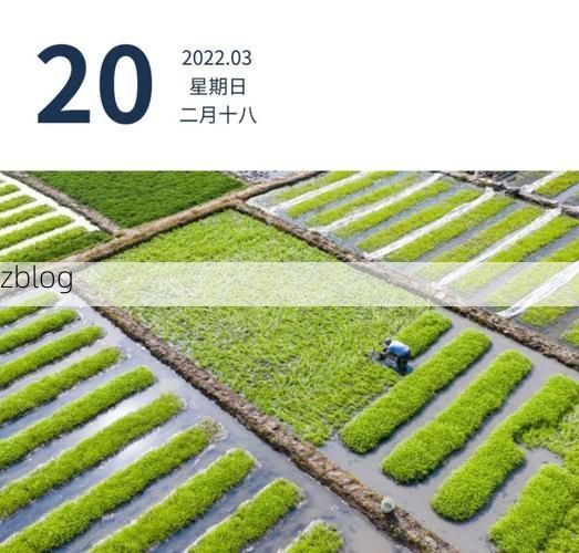 龙里新增1例无症状感染者  龙里疫情防控最新通报