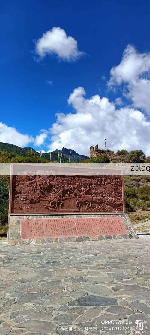 迭部县：高原峡谷间的零感染坚守与物理防线_19884