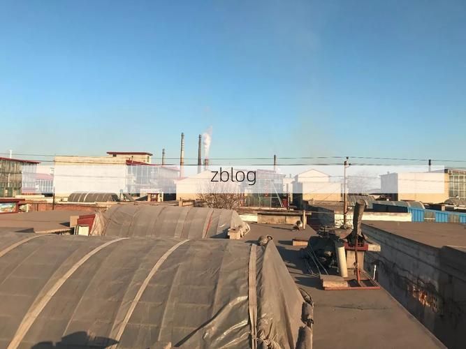 武安：钢铁重镇在疫情冲击下的防控逻辑