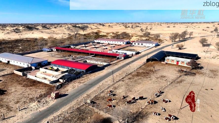 库伦旗：草原腹地的防疫坚守与零感染屏障_44310