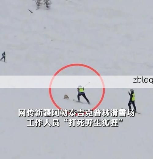 【阿勒泰新增1例无症状感染者  阿勒泰地区疫情防控工作通报_77765】