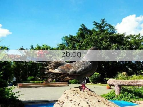 海南定安：热带季风气候下的县域防疫样本_56209